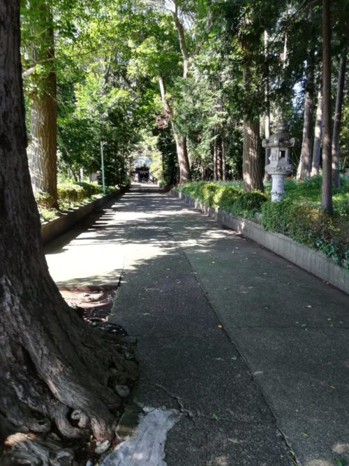五社神社の正面通路の写真