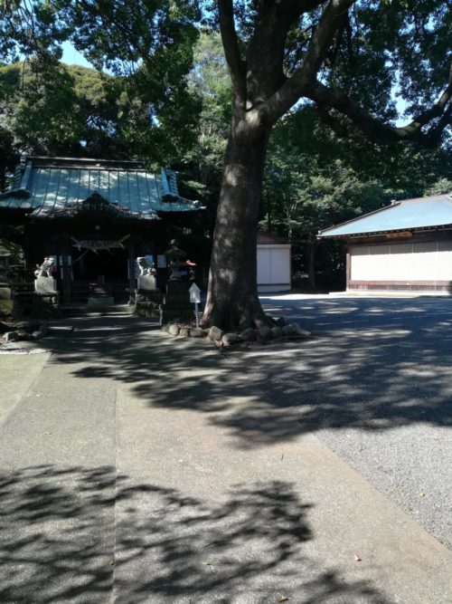 五社神社の本殿前の写真