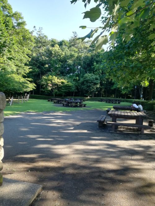 城山公園の広場の写真