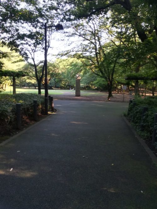 城山公園の桜の広場の写真