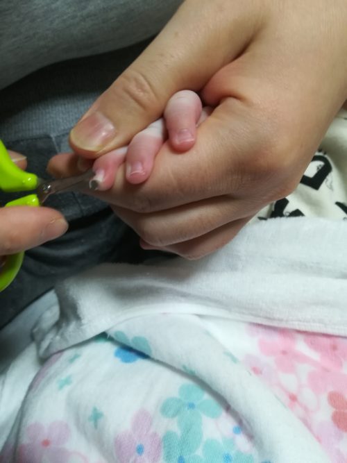 赤ちゃんのツメを切っている写真